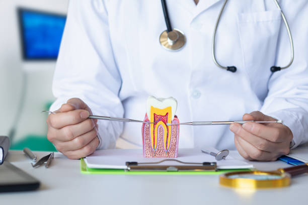 Best Dentist for Dental Trauma  in Tappan, NY